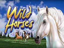 Дикие Лошади (Wild Horses)